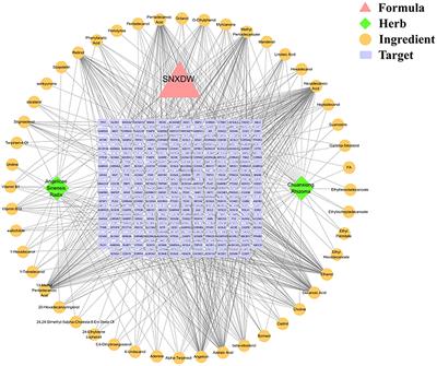 Potential mechanism of the Shunaoxin pill for preventing cognitive impairment in type 2 diabetes mellitus